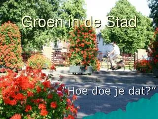 groen in de stad