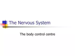 the nervous system
