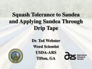 Squash Tolerance to Sandea and Applying Sandea Through Drip Tape