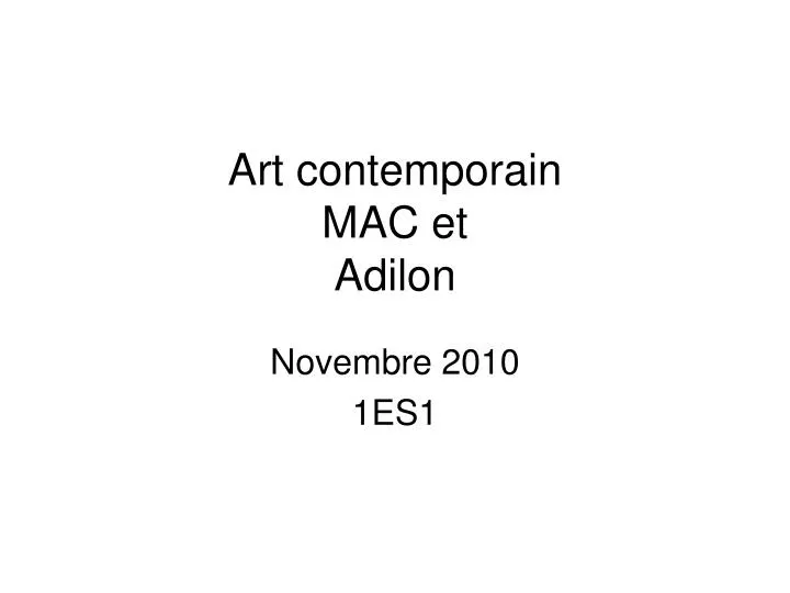 art contemporain mac et adilon