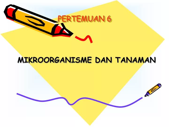 pertemuan 6