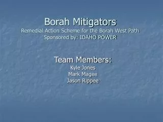 Borah Mitigators Remedial Action Scheme for the Borah West Path Sponsored by: IDAHO POWER