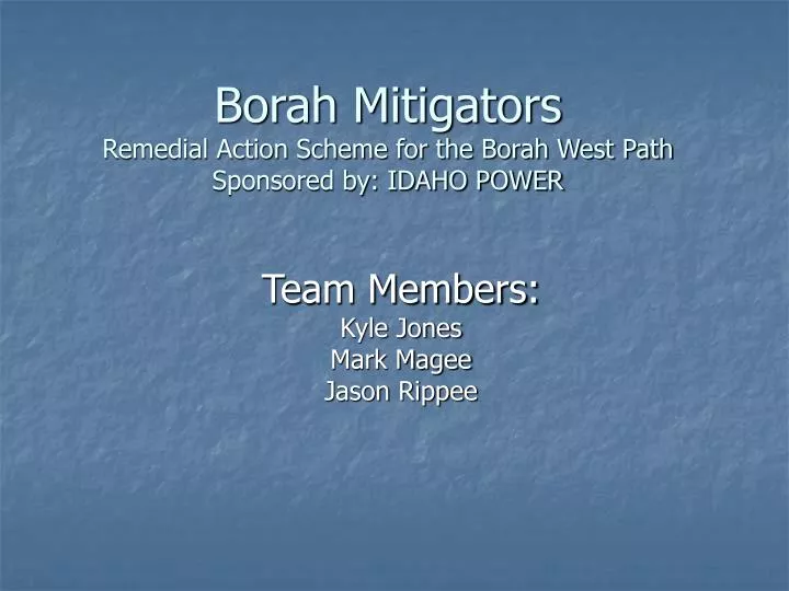 borah mitigators remedial action scheme for the borah west path sponsored by idaho power