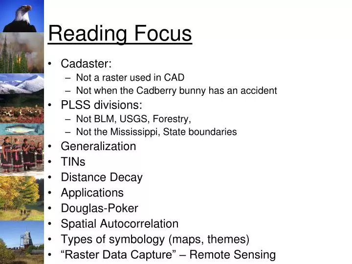reading focus