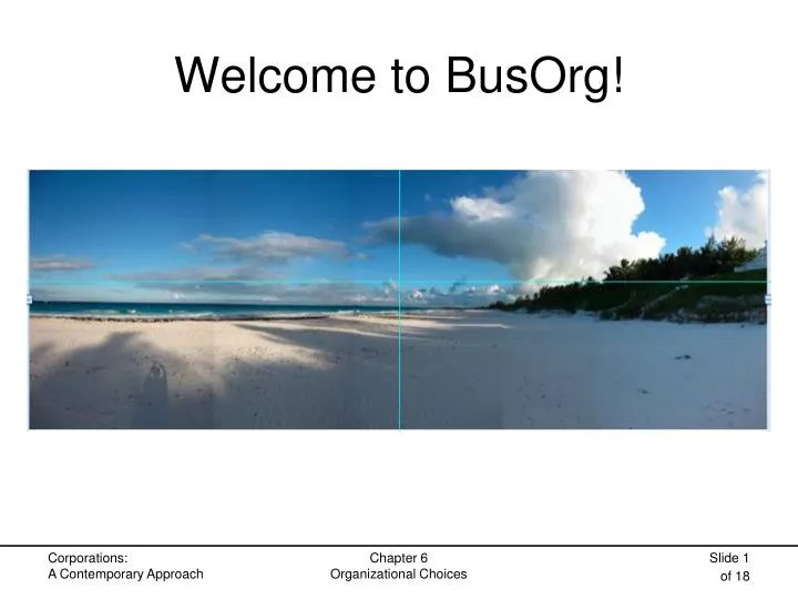 welcome to busorg