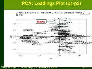 PCA: Loadings Plot (p1/p3)