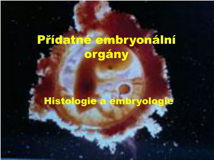 p datn embryon ln org ny