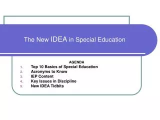 the new idea in special education