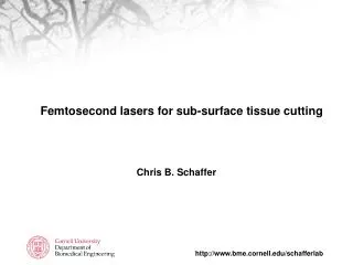 Femtosecond lasers for sub-surface tissue cutting
