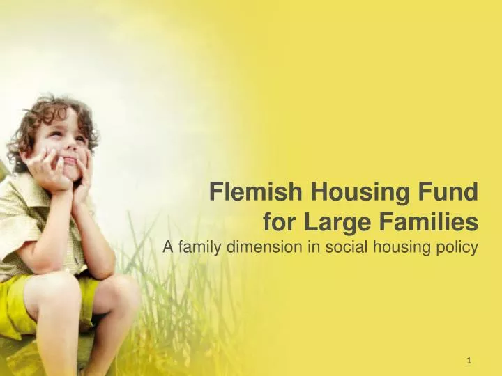 flemish housing fund for large families a family dimension in social housing policy