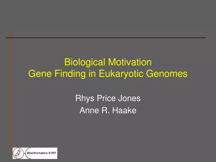 biological motivation gene finding in eukaryotic genomes