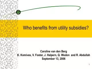 Who benefits from utility subsidies?