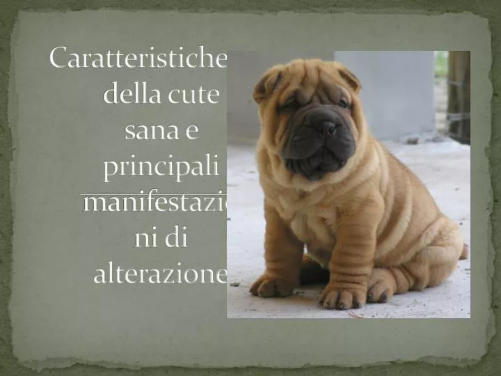 caratteristiche della cute sana e principali manifestazioni di alterazione