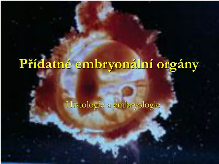 p datn embryon ln org ny