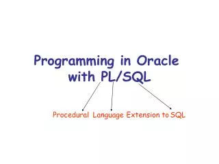 Programming in Oracle with PL/SQL