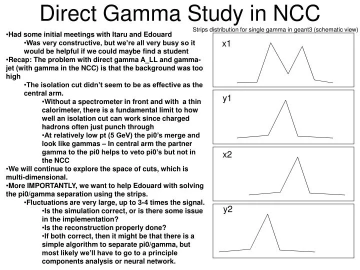 direct gamma study in ncc