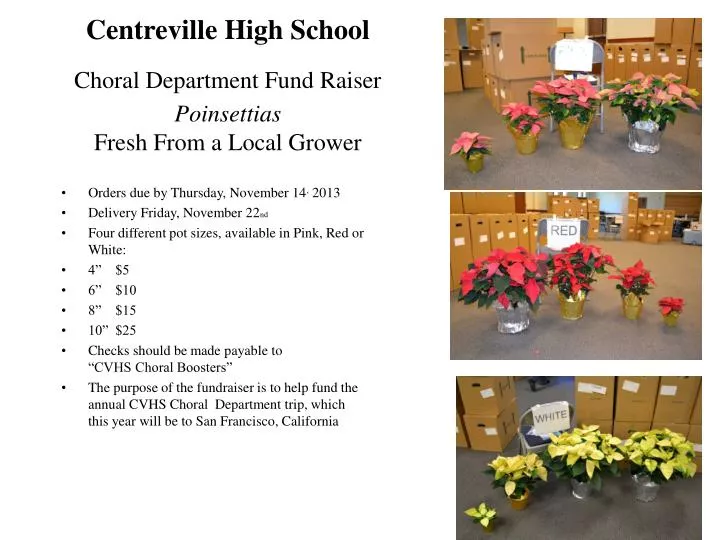 centreville high school choral department fund raiser poinsettias fresh from a local grower