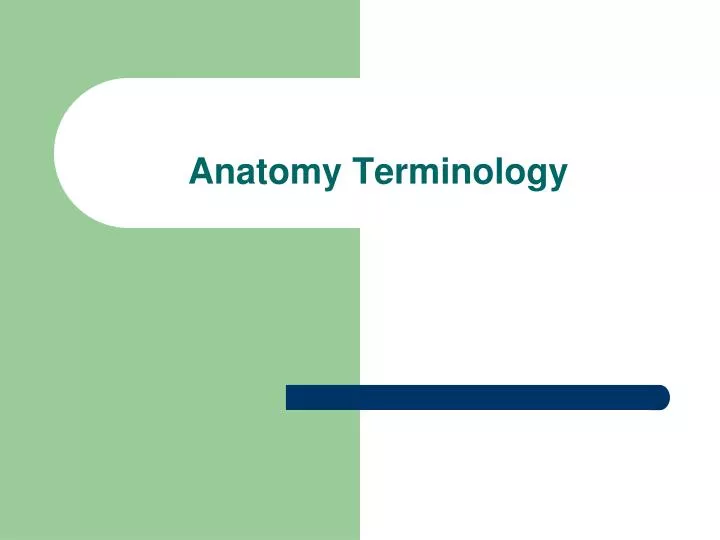 anatomy terminology