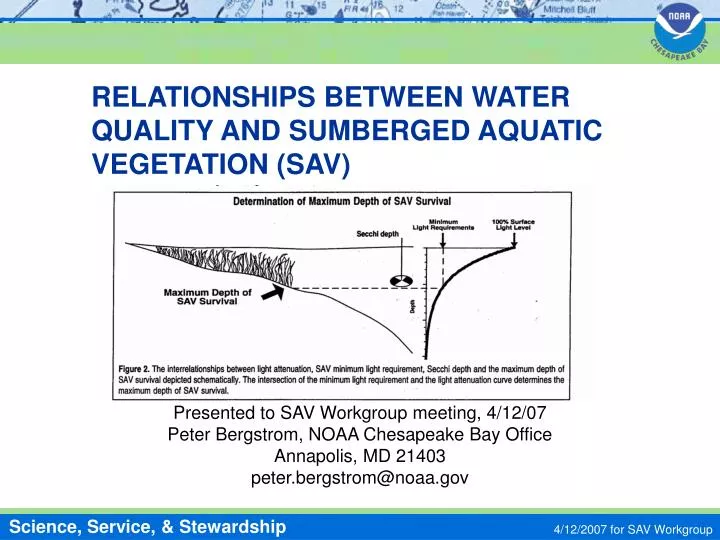 relationships between water quality and sumberged aquatic vegetation sav