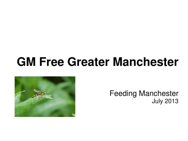 gm free greater manchester feeding manchester july 2013