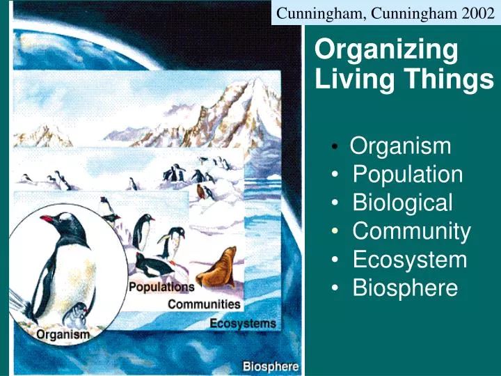 organizing living things