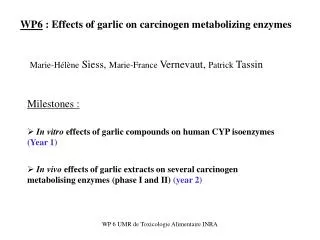 WP6 : Effects of garlic on carcinogen metabolizing enzymes
