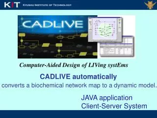 Computer-Aided Design of LIVing systEms