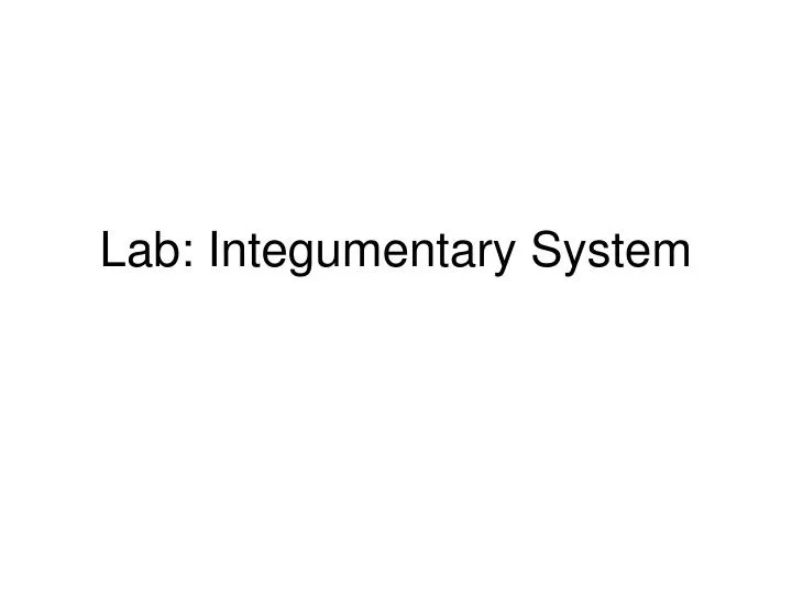 lab integumentary system