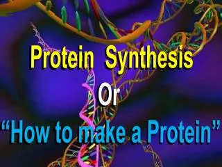 Protein Synthesis Or “How to make a Protein”