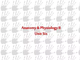 Anatomy &amp; Physiology II Unit Six