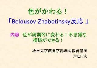 belousov zhabotinsky