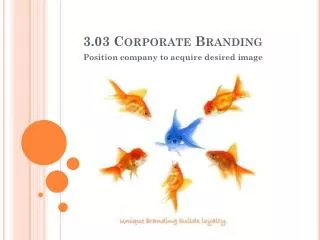 3.03 Corporate Branding