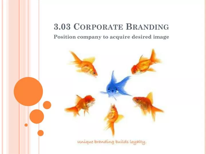 3 03 corporate branding
