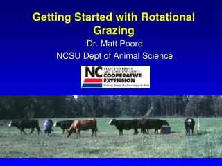 Getting Started with Rotational Grazing