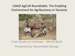 USAID AgCLIR Roundtable: The Enabling Environment for Agribusiness in Tanzania