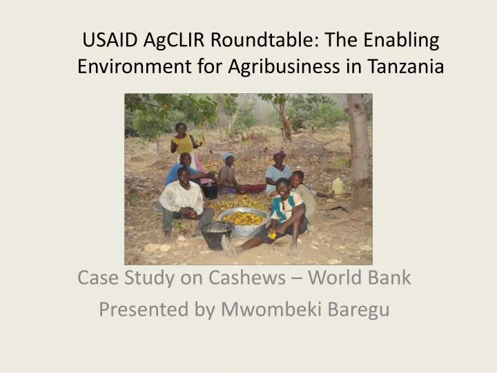 usaid agclir roundtable the enabling environment for agribusiness in tanzania