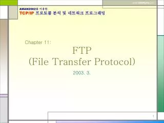 FTP (File Transfer Protocol)