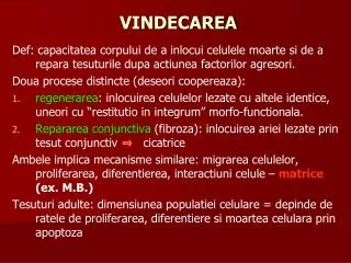 vindecarea