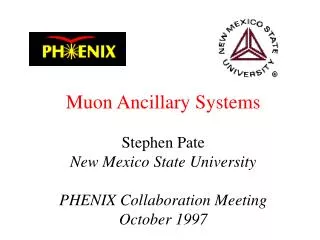 Muon Ancillary Systems Stephen Pate New Mexico State University PHENIX Collaboration Meeting