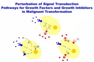 Perturbation of Signal Transduction