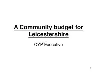 A Community budget for Leicestershire
