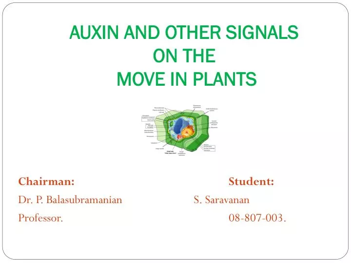 auxin and other signals on the move in plants