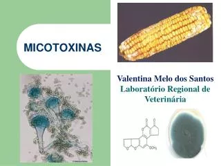 micotoxinas