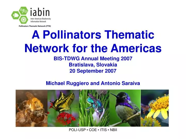 a pollinators thematic network for the americas