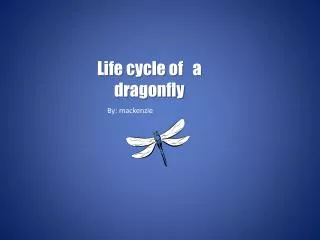 Life cycle of a dragonfly