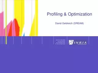 Profiling &amp; Optimization David Geldreich (DREAM)
