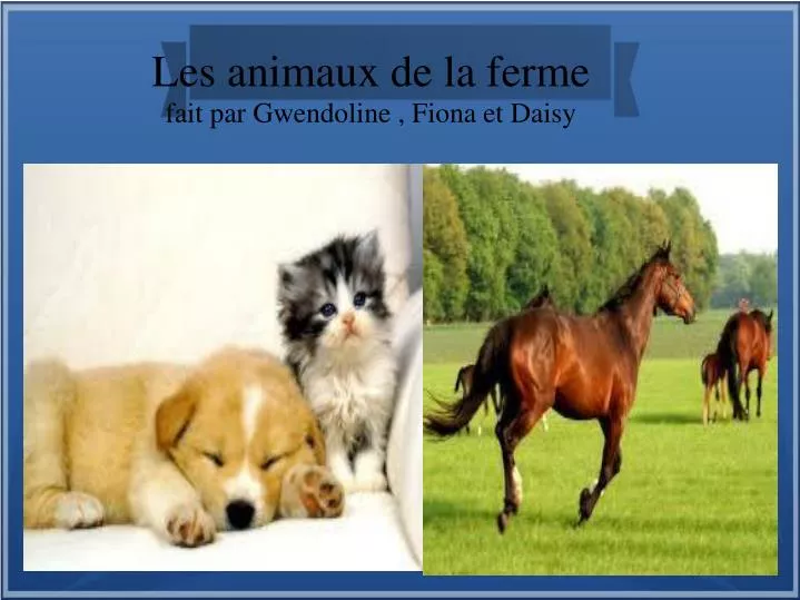les animaux de la ferme fait par gwendoline fiona et daisy