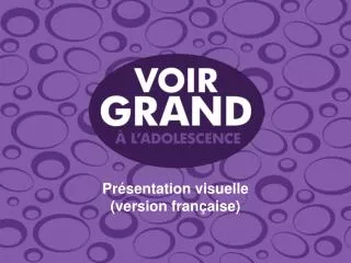 pr sentation visuelle version fran aise
