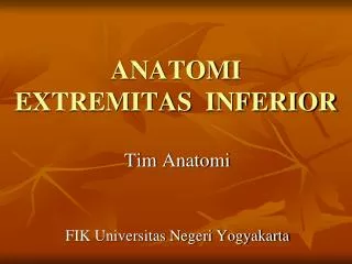 anatomi extremitas inferior
