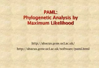 PAML: Phylogenetic Analysis by Maximum Likelihood